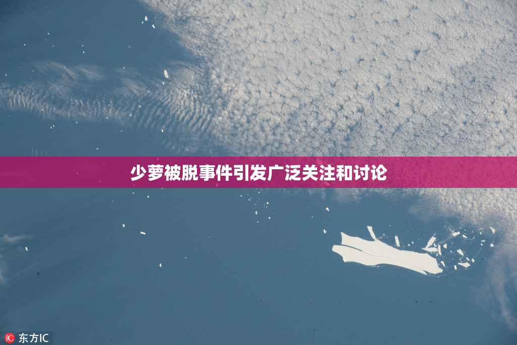 少萝被脱事件引发广泛关注和讨论