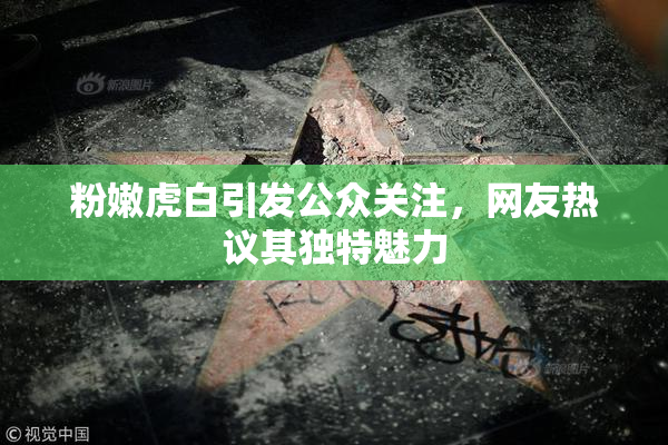 粉嫩虎白引发公众关注，网友热议其独特魅力