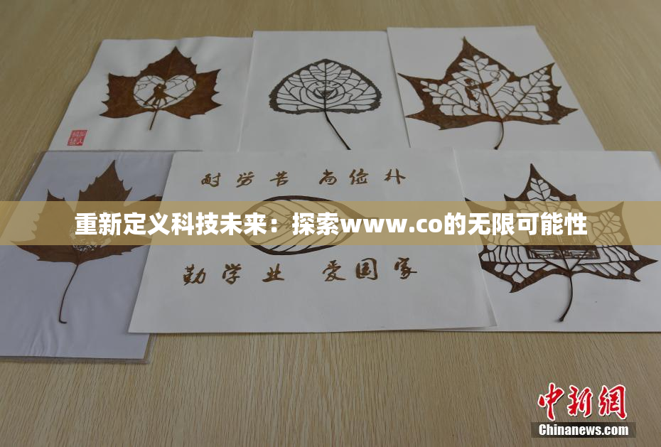 重新定义科技未来：探索www.co的无限可能性