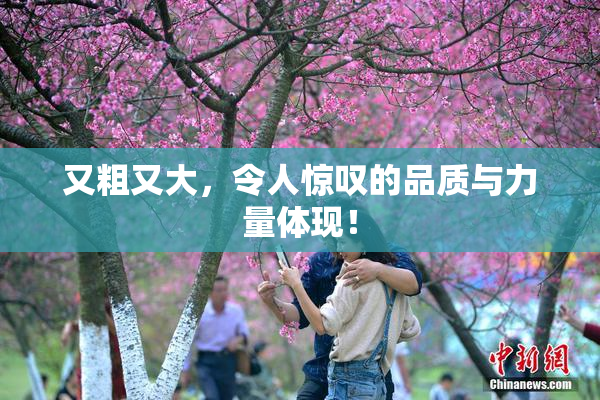 又粗又大，令人惊叹的品质与力量体现！