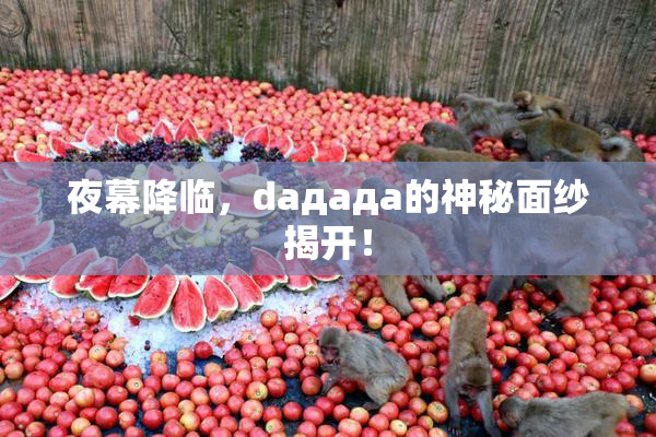 夜幕降临，daдадa的神秘面纱揭开！