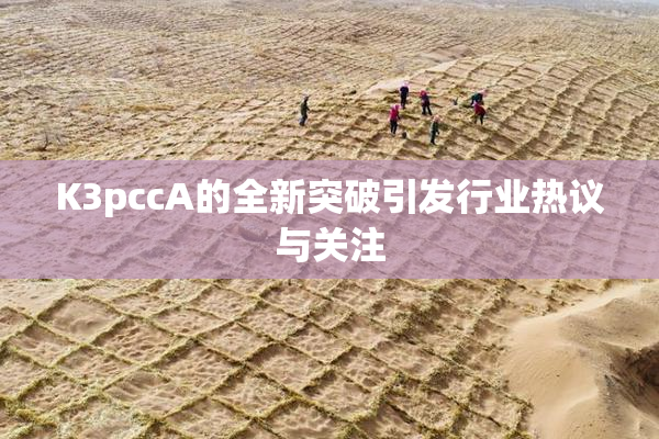 K3pccA的全新突破引发行业热议与关注