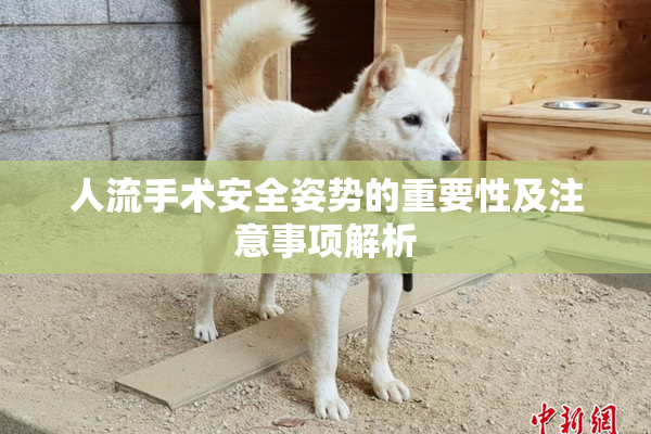 人流手术安全姿势的重要性及注意事项解析