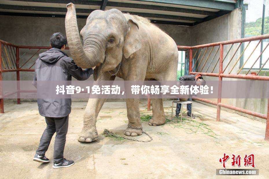 抖音9·1免活动，带你畅享全新体验！