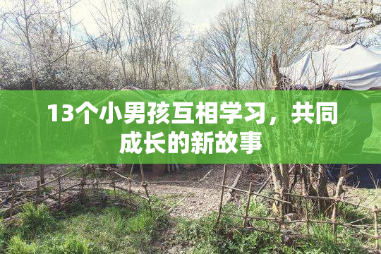13个小男孩互相学习，共同成长的新故事