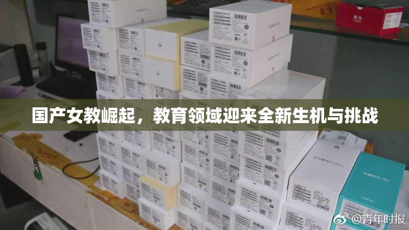 国产女教崛起，教育领域迎来全新生机与挑战