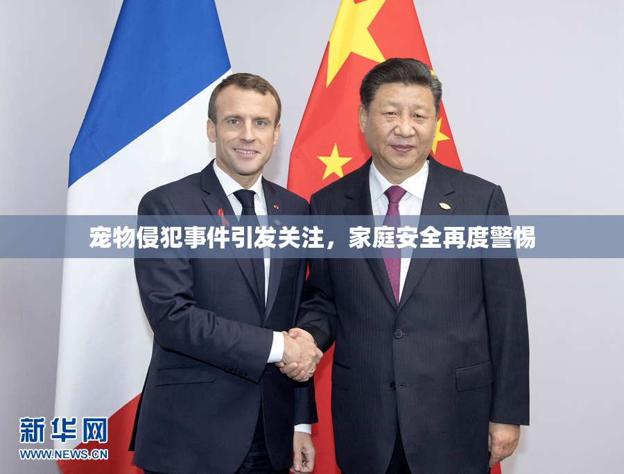 宠物侵犯事件引发关注，家庭安全再度警惕