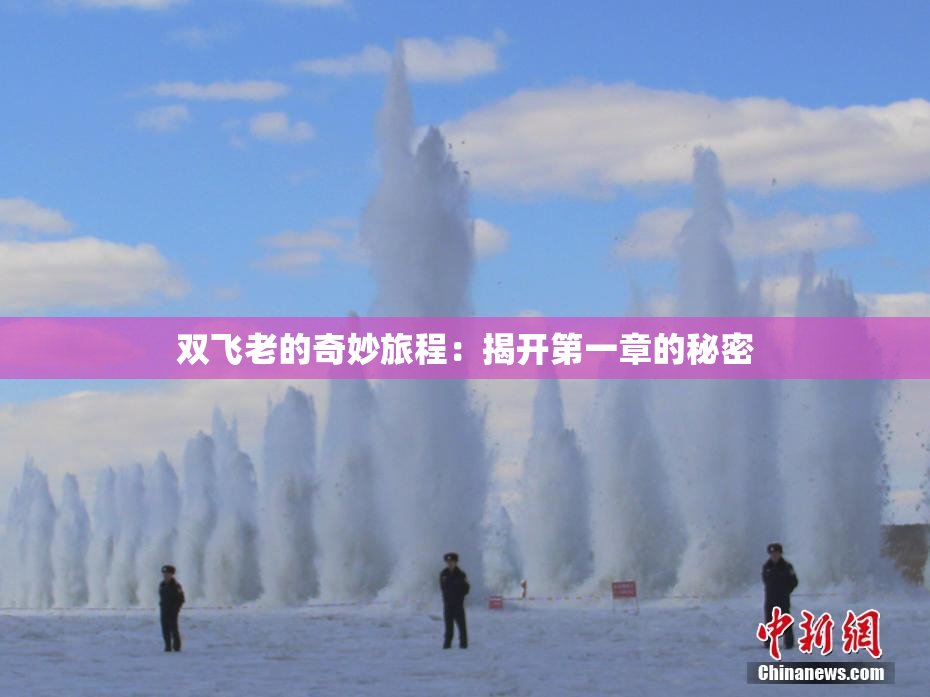 双飞老的奇妙旅程：揭开第一章的秘密