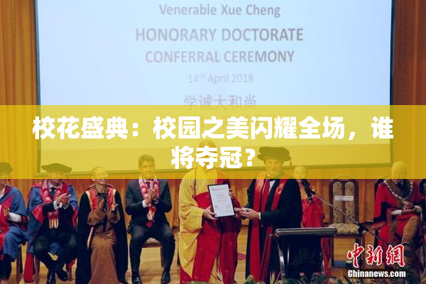 校花盛典：校园之美闪耀全场，谁将夺冠？