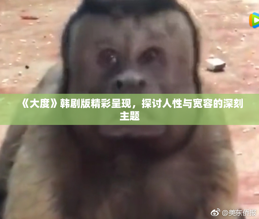 《大度》韩剧版精彩呈现，探讨人性与宽容的深刻主题
