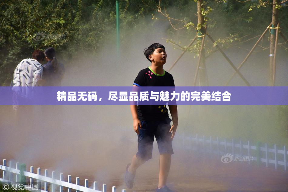 精品无码，尽显品质与魅力的完美结合