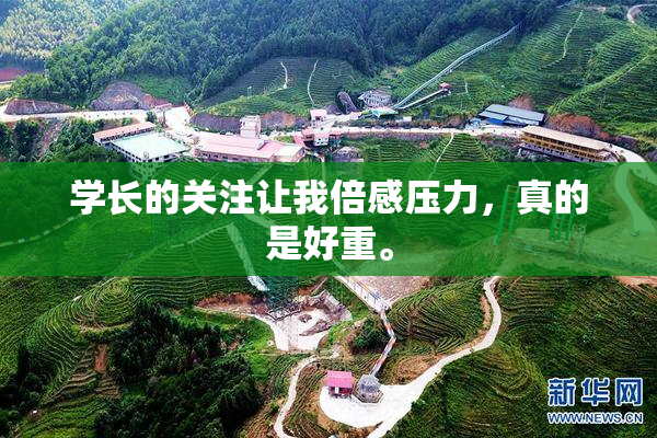 学长的关注让我倍感压力，真的是好重。