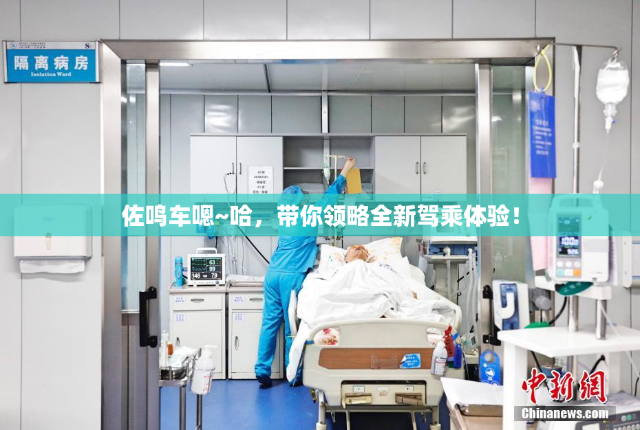 佐鸣车嗯~哈，带你领略全新驾乘体验！