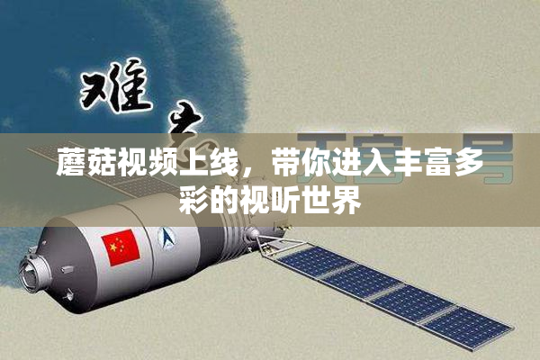 蘑菇视频上线，带你进入丰富多彩的视听世界