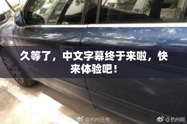 久等了，中文字幕终于来啦，快来体验吧！