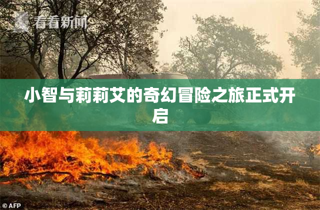 小智与莉莉艾的奇幻冒险之旅正式开启