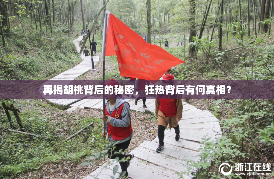 再揭胡桃背后的秘密，狂热背后有何真相？
