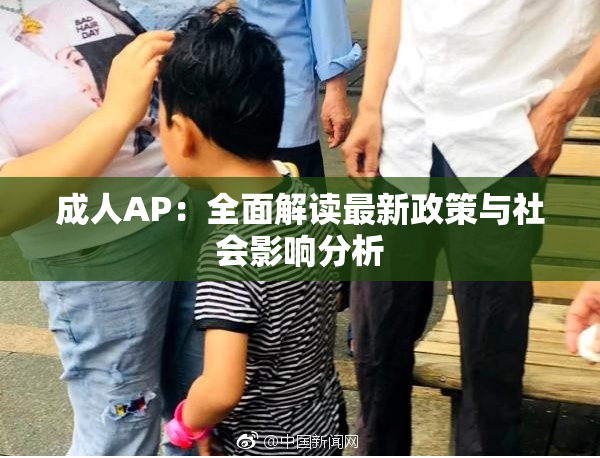 成人AP：全面解读最新政策与社会影响分析