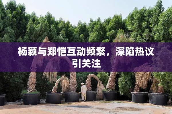 杨颖与郑恺互动频繁，深陷热议引关注
