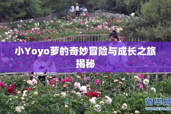 小Yoyo萝的奇妙冒险与成长之旅揭秘