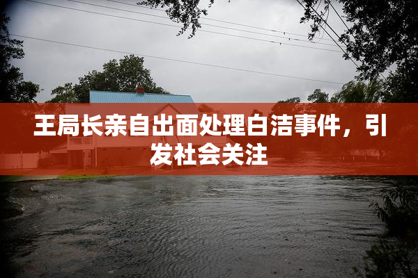 王局长亲自出面处理白洁事件，引发社会关注