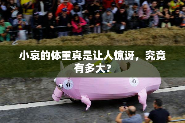 小哀的体重真是让人惊讶，究竟有多大？
