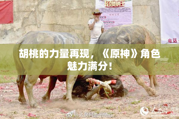胡桃的力量再现，《原神》角色魅力满分！