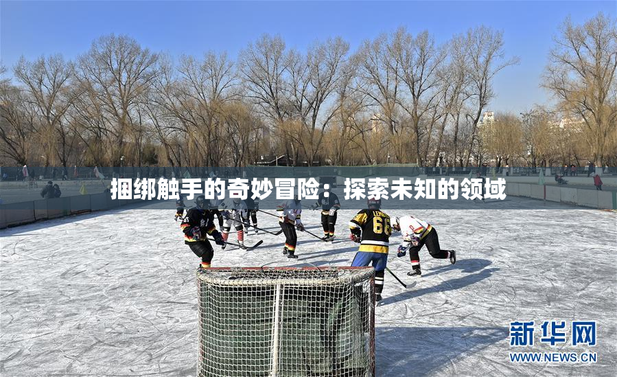 捆绑触手的奇妙冒险：探索未知的领域