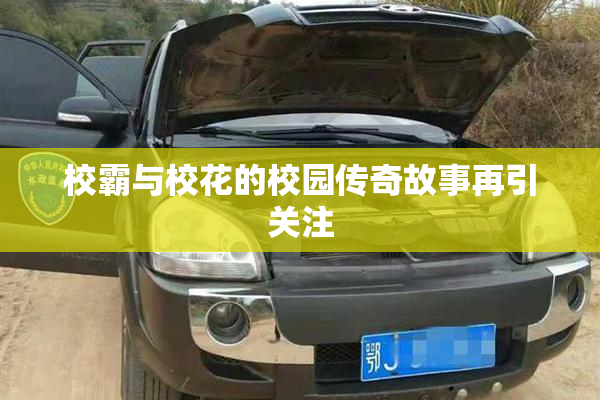 校霸与校花的校园传奇故事再引关注
