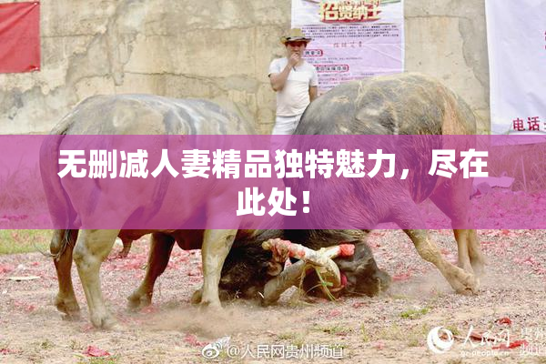 无删减人妻精品独特魅力，尽在此处！