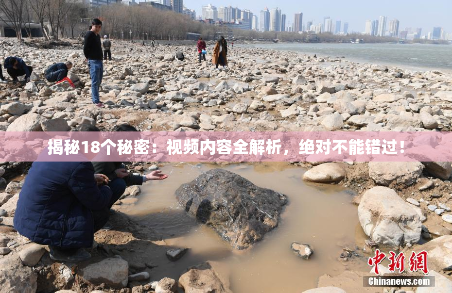 揭秘18个秘密：视频内容全解析，绝对不能错过！