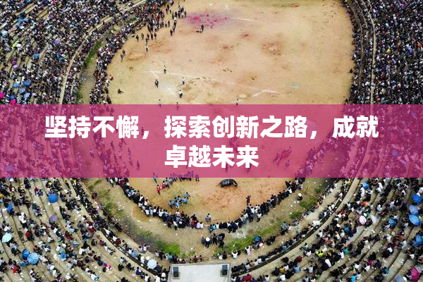 坚持不懈，探索创新之路，成就卓越未来