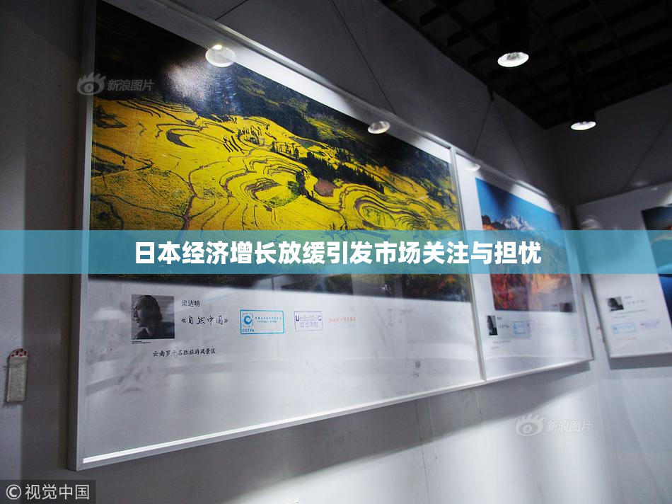 日本经济增长放缓引发市场关注与担忧