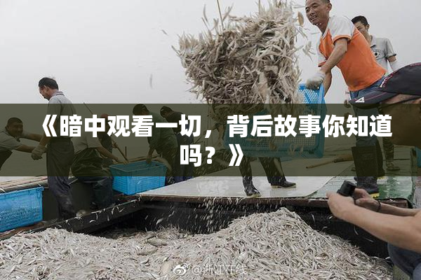 《暗中观看一切，背后故事你知道吗？》