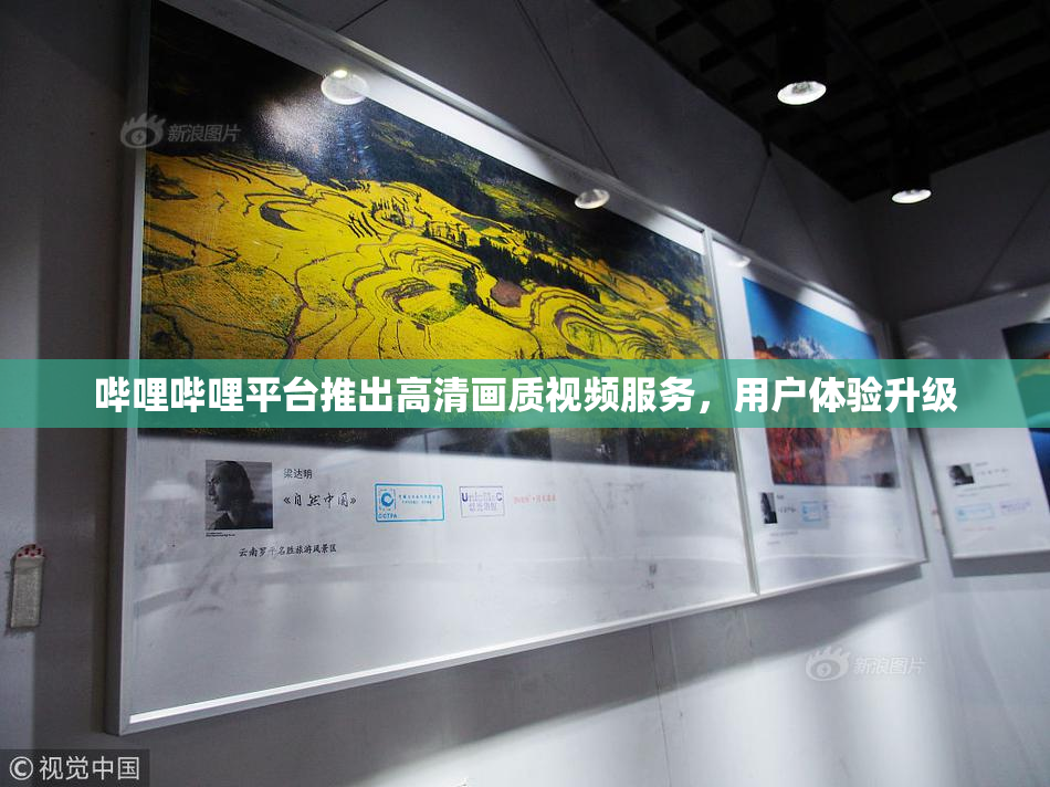 哔哩哔哩平台推出高清画质视频服务，用户体验升级