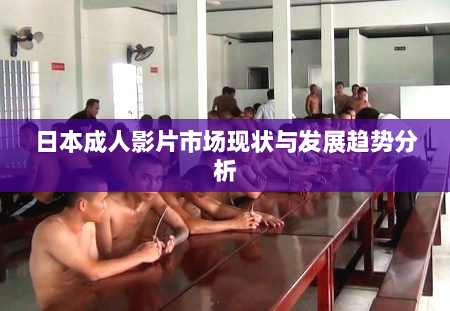 日本成人影片市场现状与发展趋势分析