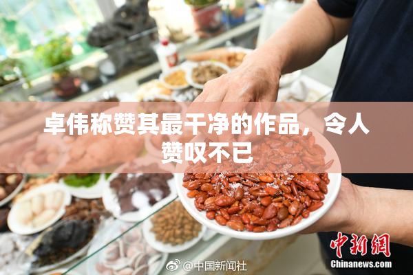 卓伟称赞其最干净的作品，令人赞叹不已