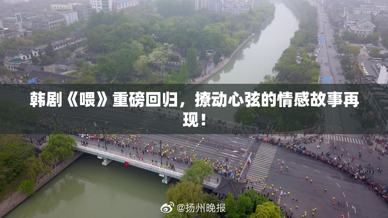 韩剧《喂》重磅回归，撩动心弦的情感故事再现！