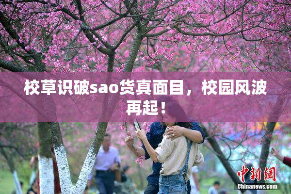 校草识破sao货真面目，校园风波再起！