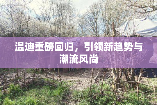 温迪重磅回归，引领新趋势与潮流风尚