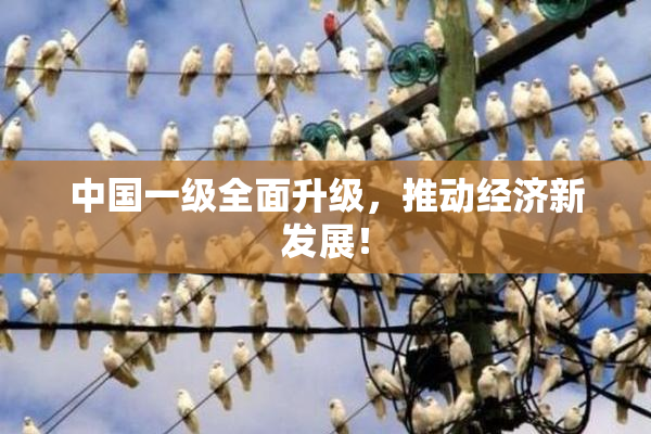 中国一级全面升级，推动经济新发展！