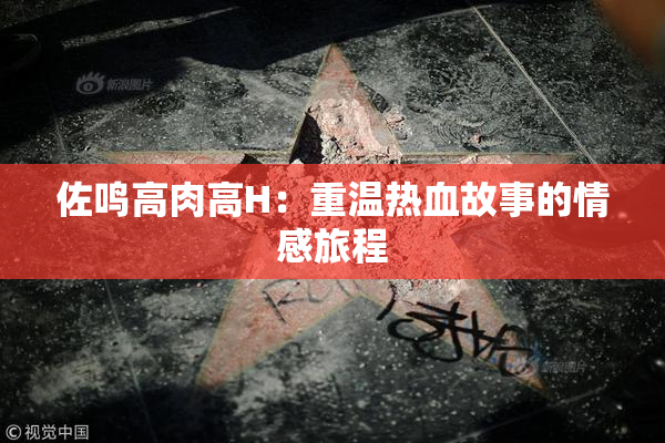 佐鸣高肉高H：重温热血故事的情感旅程