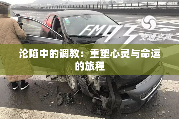 沦陷中的调教：重塑心灵与命运的旅程