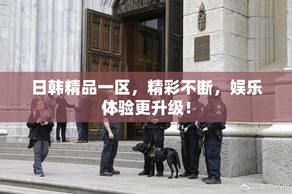 日韩精品一区，精彩不断，娱乐体验更升级！