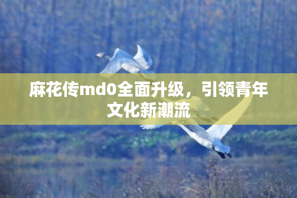 麻花传md0全面升级，引领青年文化新潮流