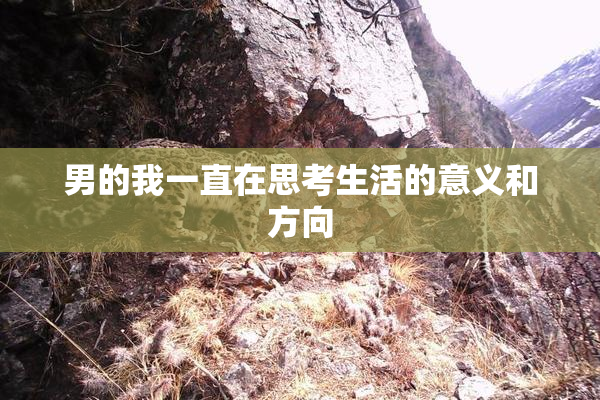 男的我一直在思考生活的意义和方向