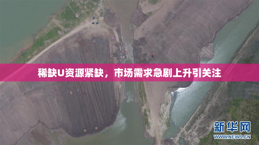 稀缺U资源紧缺，市场需求急剧上升引关注