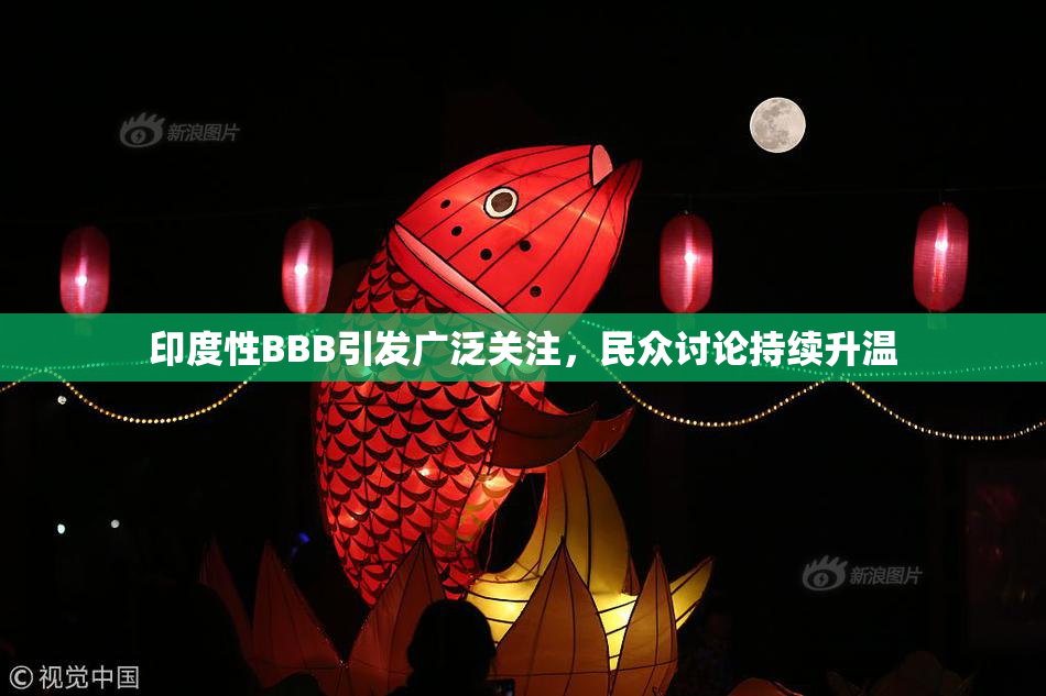 印度性BBB引发广泛关注，民众讨论持续升温