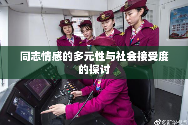 同志情感的多元性与社会接受度的探讨
