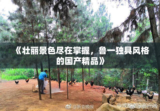 《壮丽景色尽在掌握，鲁一独具风格的国产精品》